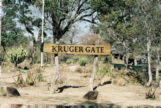 Nach der Einfahrt im Kruger-Nationalpark